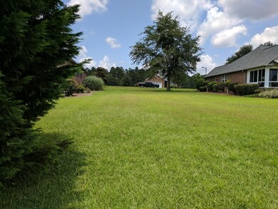 View of the lot