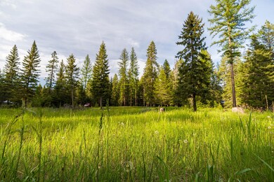 4867 Foothill Rd, Bigfork, MT 59911 - photo 3