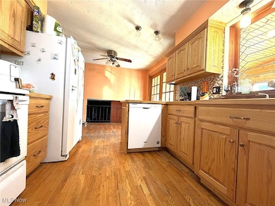 737 Dunny Ave, Sheffield Lake, OH 44054 - photo 2