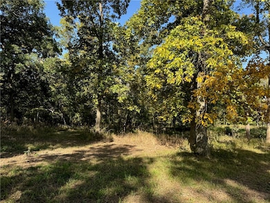 9264 Caleb Rd, Argenta, IL 62501 - photo 3