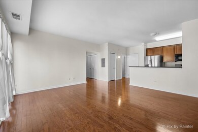 50 S Grove Ave unit 301, Elgin, IL 60120 - photo 5