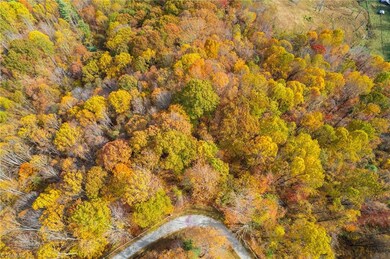 TBD 1 Mayito Ln, Mouth of Wilson, VA 24363 - photo 4