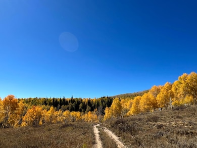 0 Skyline Dr unit 15303573, Fairview, UT 84629 - photo 2