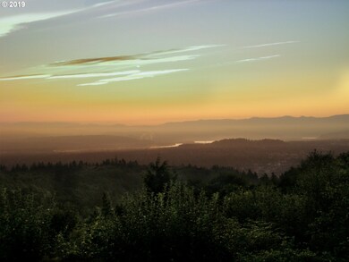 712 NW Spring Ave, Portland, OR 97229 - photo 6