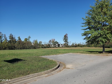 TRACT 3B Headtown Rd, Jonesborough, TN 37659 - photo 6