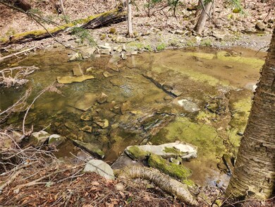 0 Moyer Rd, Root, NY 12166 - photo 5