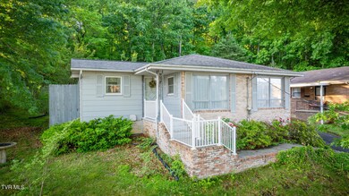 607 E Market St, Johnson City, TN 37601 - photo 2