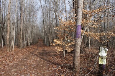 108.61 ac Tomlin Mill Rd, Statesville, NC 28625 - photo 2