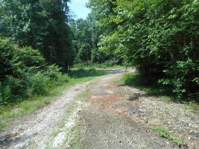 400 BLK County Road 134, Garrison, TX 75946 - photo 6