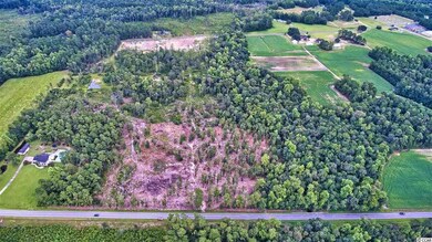 TBD Tract B S Carolina 19, Loris, SC 29569 - photo 5