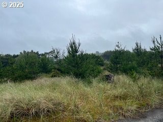 806 318 Place, Ocean Park, WA 98640 - photo 3