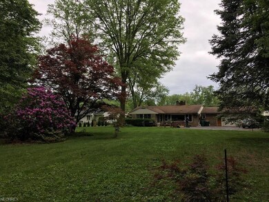 Rear elevation of home. Old growth trees and plant