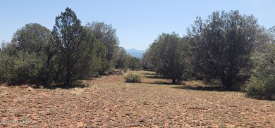 408 N2 Caprica Rd, Ash Fork, AZ 86320 - photo 2