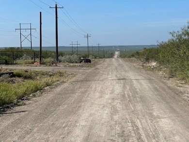 unlisted-address, Freer, TX 78357 - photo 3