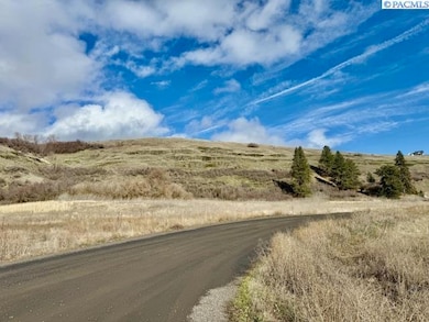 20 Red Tail Ridge, Colfax, WA 99111 - photo 3