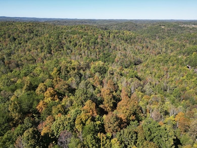 9999 Ohler Branch Rd, East Bernstadt, KY 40729 - photo 3