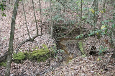 N/A Walton Rd, Nacogdoches, TX 75964 - photo 5