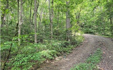 Additional View