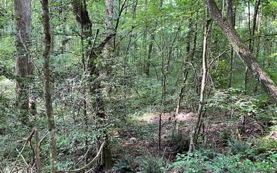 Additional View