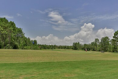 2 Drifted Sand Ct Freeport FL-012-008-Lo