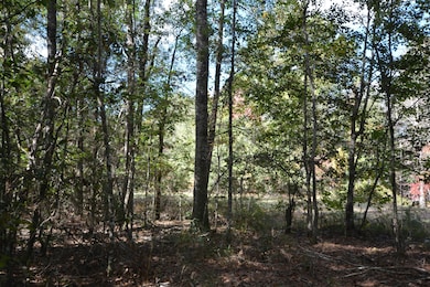 1685 N Margaret, Kirbyville, TX 75956 - photo 4