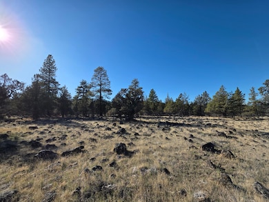 0 Cedar Trail unit 4008-01700-0900, Klamath Falls, OR 97601 - photo 5