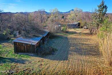 Lower (NE) part of the property