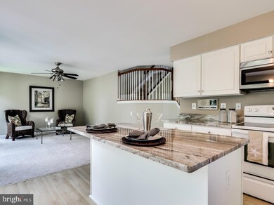 9516 Meadows Farms Dr, Owings Mills, MD 21117 - photo 4