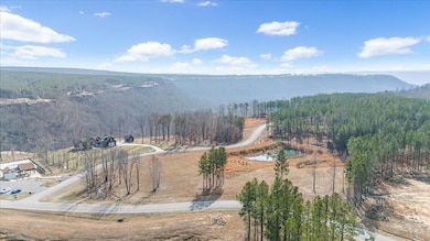 2-DJI_20250205113552_0148_D