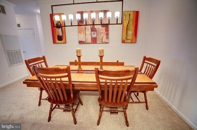 1516 N Point Dr unit 203, Reston, VA 20194 - photo 7