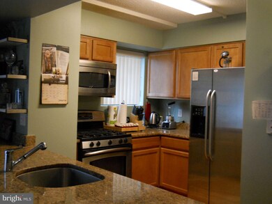 7923 Eastern Ave unit 502, Silver Spring, MD 20910 - photo 7