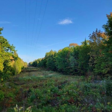 M14L17 Pattagumpus Rd, Medway, ME 04460 - photo 3