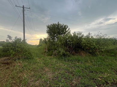 0 E State Road 60 unit R11004766, Yeehaw, FL 34972 - photo 3