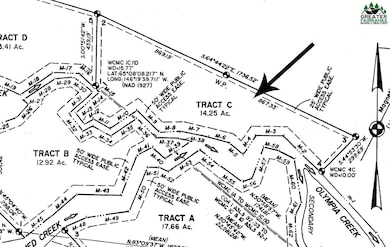 NHN Olympia Creek unit Tract C, Fairbanks, AK 99712 - photo 7