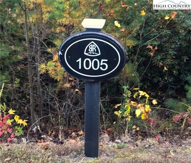 1005 Reynolds Pkwy, Ferguson, NC 28624 - photo 4