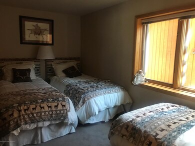 368 E Lupine Dr, Aspen, CO 81611 - photo 5