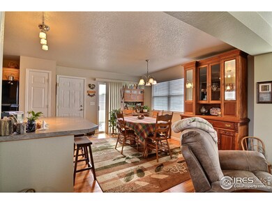 4232 Laurel Dr, Evans, CO 80620 - photo 7