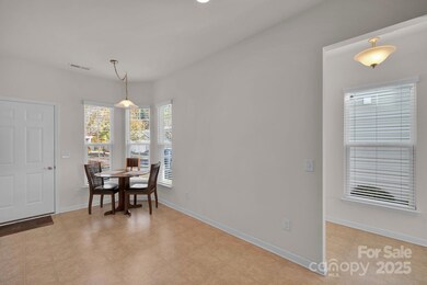 20310 Dovekie Ln, Fort Mill, SC 29707 - photo 7