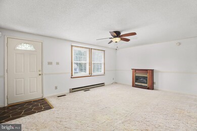 6533 Venison Dr, Fredericksburg, VA 22407 - photo 6