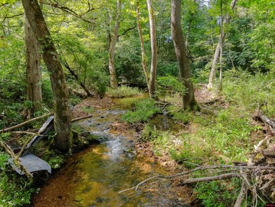 13-0.4-20-000-0 Cr 544, Caulfield, MO 65626 - photo 5