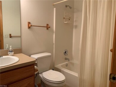 4246 Hawthorne Ave, Sheffield Lake, OH 44054 - photo 6