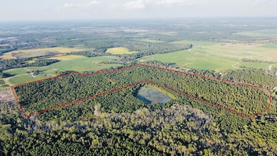 00 Herrington Rd, Hazlehurst, GA 31539 - photo 3