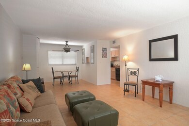Living room has big window