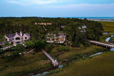 79 Trailing Vine