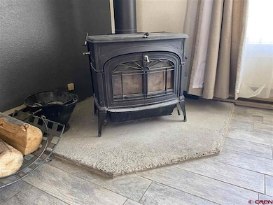 715 NE 2nd St, Cedaredge, CO 81413 - photo 7