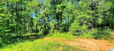 0 Laska Dr unit 20 acres 21420427, Wedowee, AL 36278 - photo 3