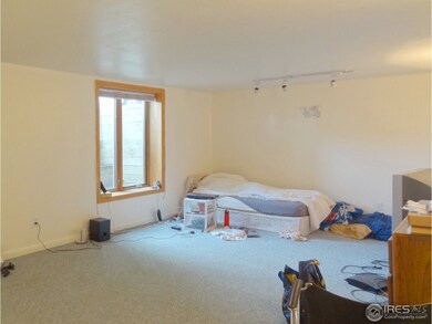 Large basement bedroom