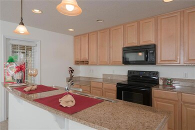 21634 Belgian Ct, Mount Dora, FL 32757 - photo 5