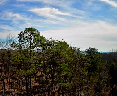 IMG_20250223_1259058