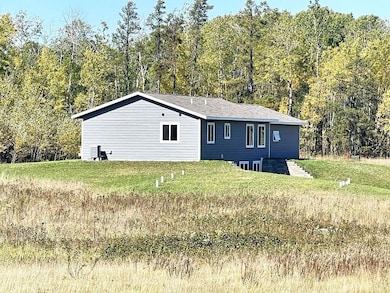 28445 230th St, Akeley, MN 56433 - photo 4